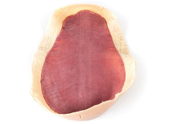 https://jayakelana.id.202-10-43-6.cpanel.site/uploads/product/-123009-canine-abdominal-skin-62088d4b34b0fa2_cover.jpg