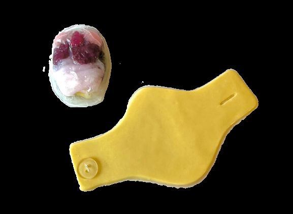 https://jayakelana.id.202-10-43-6.cpanel.site/uploads/product/-124002-synfrog-organ-replacement-540287ba7704d12_cover.png