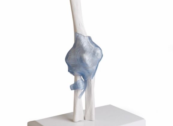 https://jayakelana.id.202-10-43-6.cpanel.site/uploads/product/-4556-elbow-joint-with-74156c85790daab_cover.jpg