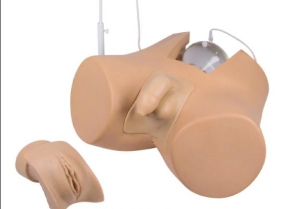 https://jayakelana.id.202-10-43-6.cpanel.site/uploads/product/-7030-catheterization-trainer-with-797206ad70bc1f1_cover.jpg