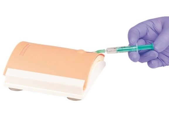 https://jayakelana.id.202-10-43-6.cpanel.site/uploads/product/-7110-intradermal-injection-trainer-71040cd5a10e01d_cover.jpg