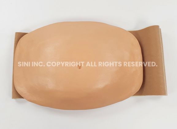 https://jayakelana.id.202-10-43-6.cpanel.site/uploads/product/-a-aib-01-abdominal-injection-trainer-band-49765befd6f9521_cover.jpg