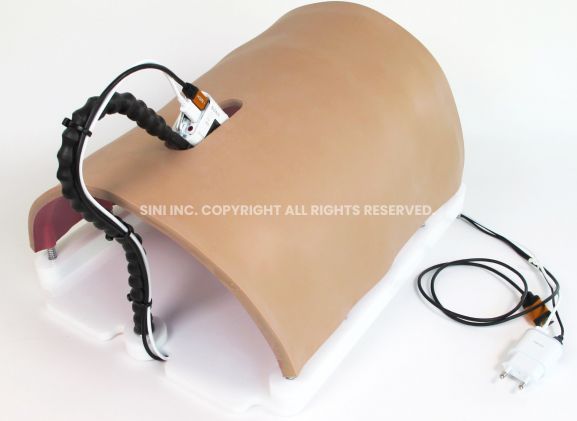 https://jayakelana.id.202-10-43-6.cpanel.site/uploads/product/-a-lpb-01-laparoscopic-body-type-50241491cbbe746_cover.jpg