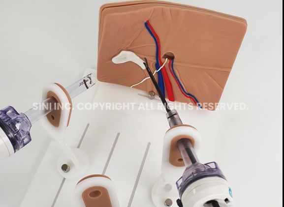 https://jayakelana.id.202-10-43-6.cpanel.site/uploads/product/-a-lph-01-laparoscopic-hernia-surgery-7117416c2979294_cover.jpg