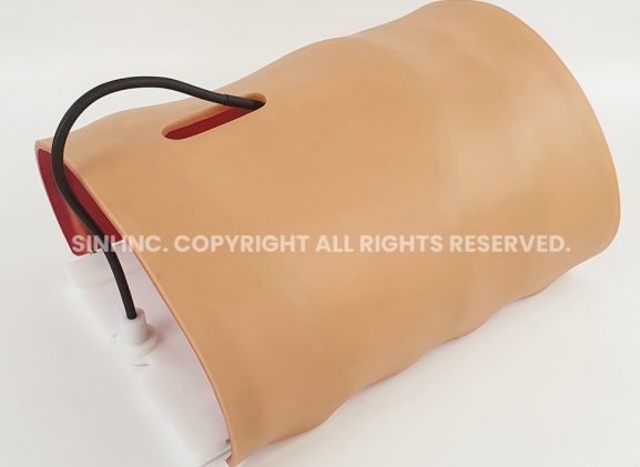 https://jayakelana.id.202-10-43-6.cpanel.site/uploads/product/-a-lpl-01-laparoscopic-body-type-806753863c1ae61_cover.jpg