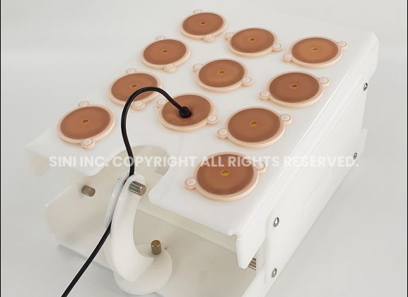 https://jayakelana.id.202-10-43-6.cpanel.site/uploads/product/-a-lpp-02-laparoscopic-portable-trainer-12269c33e80d6ea_cover.jpg