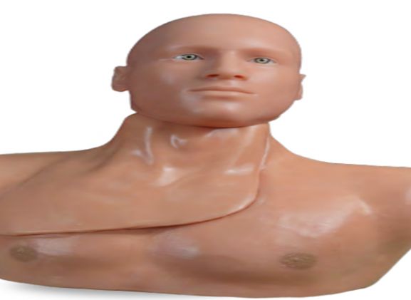 https://jayakelana.id.202-10-43-6.cpanel.site/uploads/product/-clm-50-centralineman-system-w-o-93983cf9e25ace1_cover.png