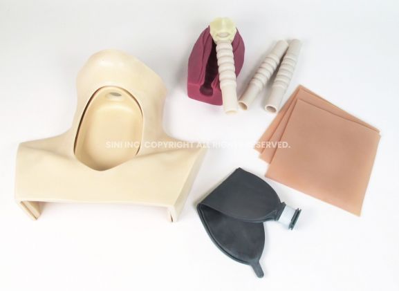 https://jayakelana.id.202-10-43-6.cpanel.site/uploads/product/-h-tct-01-tracheotomy-trainer-98802e99a75316a_cover.jpg