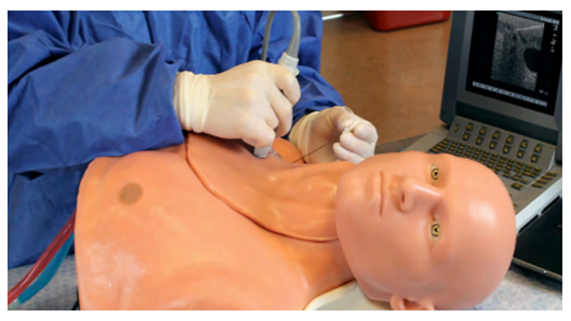(ISBS-31) REGIONAL ANESTHESIA TRAINER WITH SMARTISSUE AND ARTICULATING HEAD 