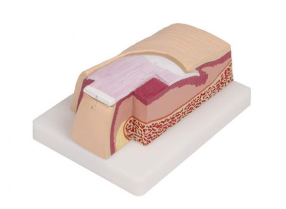 https://jayakelana.id.202-10-43-6.cpanel.site/uploads/product/-j60-nail-model-5-721022333ffa0e0_cover.jpg