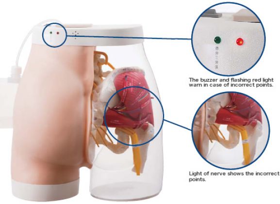 https://jayakelana.id.202-10-43-6.cpanel.site/uploads/product/-m152-intramuscular-injection-model-441343cce23994e_cover.jpg