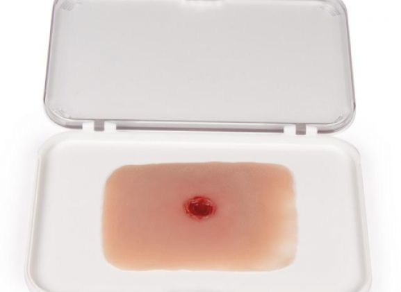 https://jayakelana.id.202-10-43-6.cpanel.site/uploads/product/-nw010a-wound-moulage-bullet-23561aa381f358d_cover.jpg