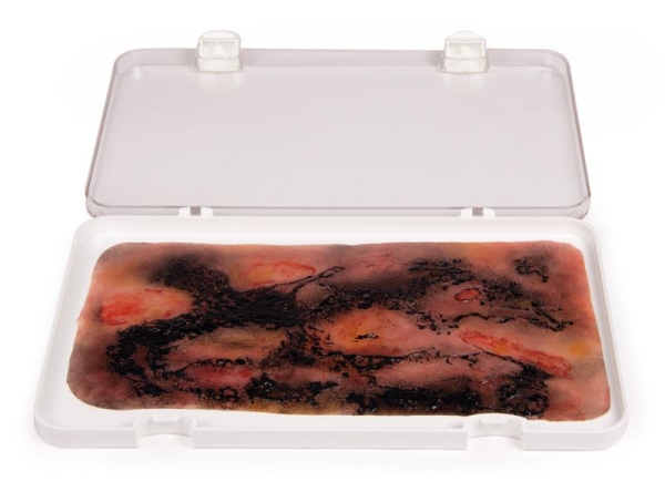 (NW107) Wound Moulage 3rd Degree Burn (big)