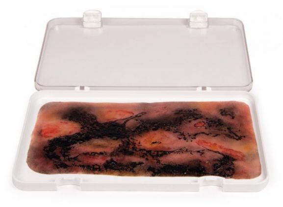 https://jayakelana.id.202-10-43-6.cpanel.site/uploads/product/-nw107-wound-moulage-3rd-43228452ee46fd8_cover.jpg