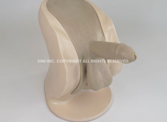 https://jayakelana.id.202-10-43-6.cpanel.site/uploads/product/-p-ctb-01-male-catheterization-trainer-64673b17428a4c9_cover.jpg