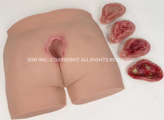 https://jayakelana.id.202-10-43-6.cpanel.site/uploads/product/-p-deu-01-decubitus-ulcer-trainer-36706786ebaa4b7_cover.jpg