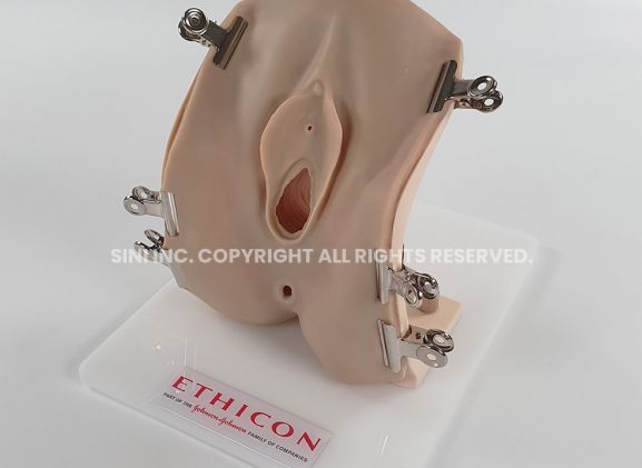 https://jayakelana.id.202-10-43-6.cpanel.site/uploads/product/-p-epi-02-episiotomy-trainer-267977ebddc5fec_cover.jpg