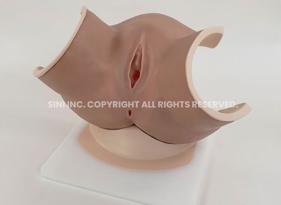 https://jayakelana.id.202-10-43-6.cpanel.site/uploads/product/-p-vag-01-vaginitis-model-81552fd3b54357e_cover.jpg