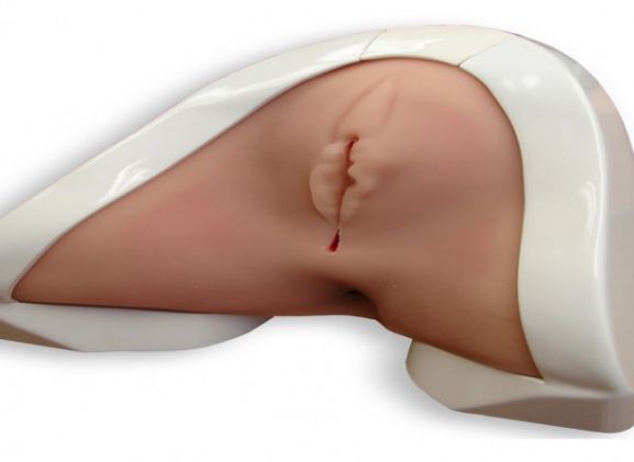 https://jayakelana.id.202-10-43-6.cpanel.site/uploads/product/-pelatih-perineal-perineal-prt-20--72871abfb38be35_cover.jpg