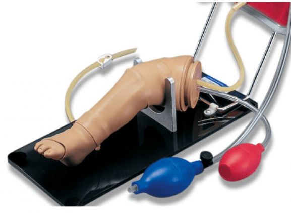 https://jayakelana.id.202-10-43-6.cpanel.site/uploads/product/-pelatihan-keterampilan-kaki-infus-12621f8b87598c3_cover.png