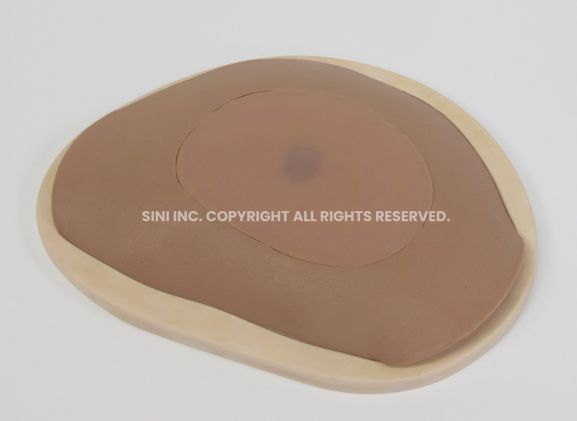 https://jayakelana.id.202-10-43-6.cpanel.site/uploads/product/-s-abs-01-abscess-drainage-trainer-13394ae7b38e0ac_cover.jpg