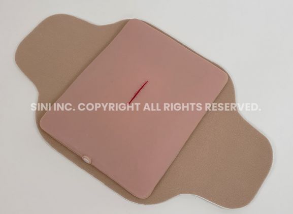 https://jayakelana.id.202-10-43-6.cpanel.site/uploads/product/-s-loa-01-local-anesthesia-trainer-240368aeed3102c_cover.jpg