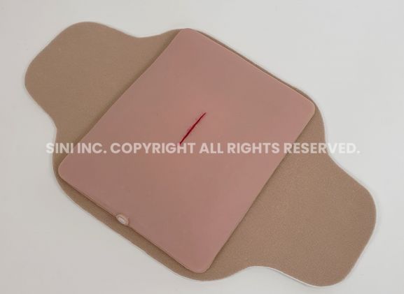 https://jayakelana.id.202-10-43-6.cpanel.site/uploads/product/-s-loa-01-local-anesthesia-trainer-3889203060fd044_cover.jpg