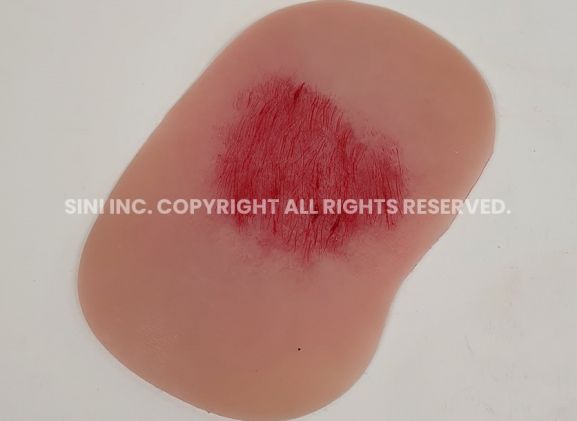 https://jayakelana.id.202-10-43-6.cpanel.site/uploads/product/-s-wtt-01-wound-treatment-training-5715772e5530cba_cover.jpg
