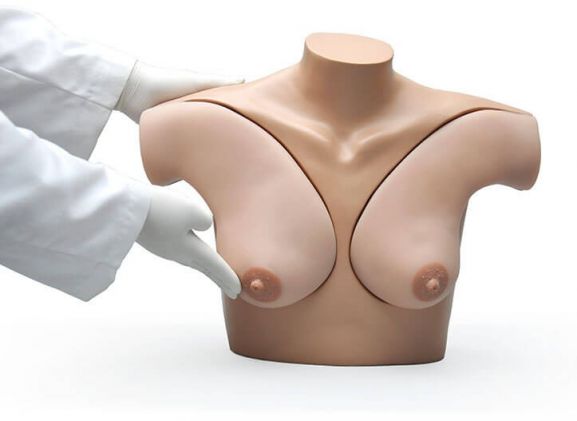 https://jayakelana.id.202-10-43-6.cpanel.site/uploads/product/-s230-42-breast-examination-skills-4251411f61f6164_cover.jpg