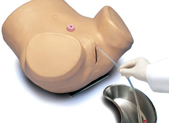 https://jayakelana.id.202-10-43-6.cpanel.site/uploads/product/-s230-6-advanced-patient-care-65465bdd45fbfb4_cover.jpg