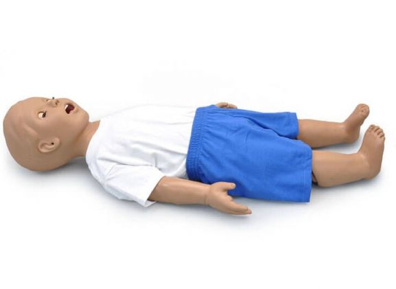 https://jayakelana.id.202-10-43-6.cpanel.site/uploads/product/-s312-1-year-pediatric-airway-27755439fc333ca_cover.jpg