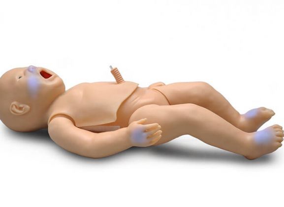 https://jayakelana.id.202-10-43-6.cpanel.site/uploads/product/-s320-100-pedi-blue-newborn-748939e7b3777a9_cover.jpg
