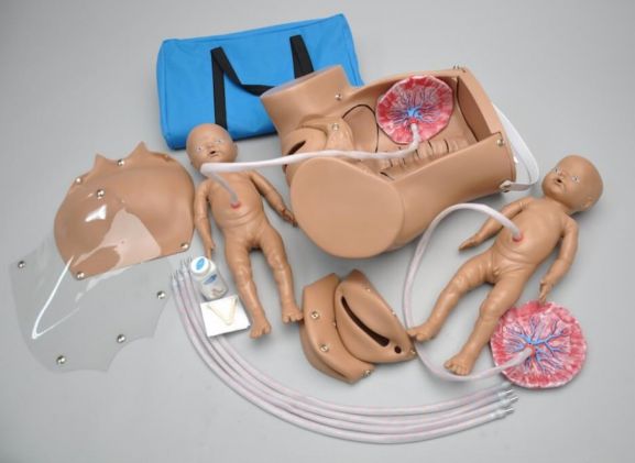 https://jayakelana.id.202-10-43-6.cpanel.site/uploads/product/-s500-obstetric-susie-the-627151cfbc01238_cover.jpg
