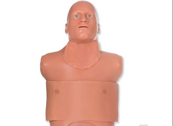 https://jayakelana.id.202-10-43-6.cpanel.site/uploads/product/-tm-5138-traumaman-surgical-simulator-76451fed8e861c1_cover.jpg