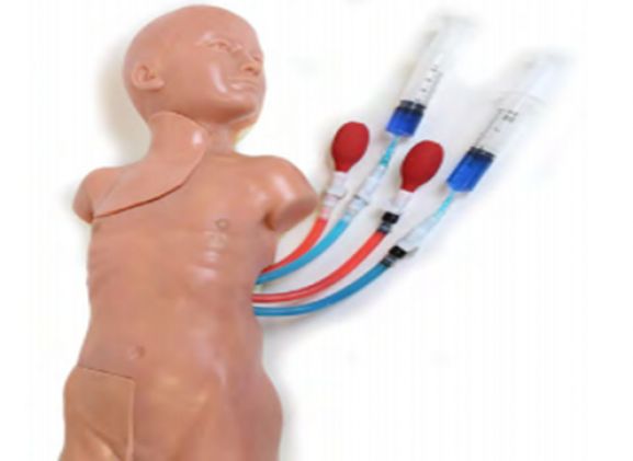 https://jayakelana.id.202-10-43-6.cpanel.site/uploads/product/-vacf-30-vascular-accessc-hild-71002979a20a7c9_cover.png