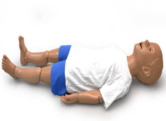 https://jayakelana.id.202-10-43-6.cpanel.site/uploads/product/5-year-old-patient-pedi-airway-27808a4b4b1448b_cover.png