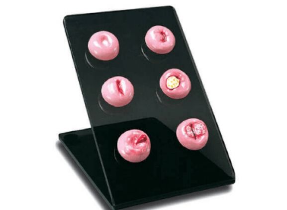 https://jayakelana.id.202-10-43-6.cpanel.site/uploads/product/cervical-replicas-s505--906936d80a06779_cover.png