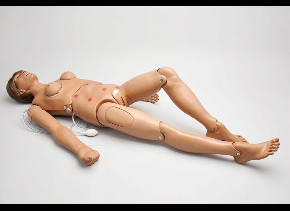 https://jayakelana.id.202-10-43-6.cpanel.site/uploads/product/clinical-chloe-nursing-51468b5d33588a0_cover.jpg