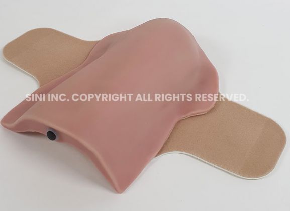 https://jayakelana.id.202-10-43-6.cpanel.site/uploads/product/deltoid-intramuscular-injection-trainer-3618154088c3781_cover.jpg