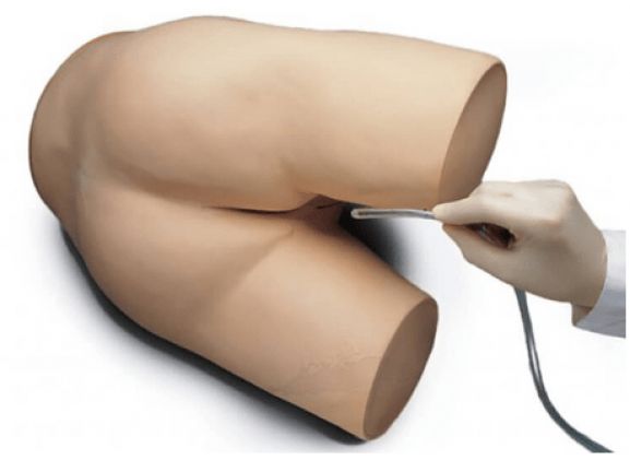https://jayakelana.id.202-10-43-6.cpanel.site/uploads/product/enema-perawatan-pasien-lanjutan-2072423e160ce98_cover.png
