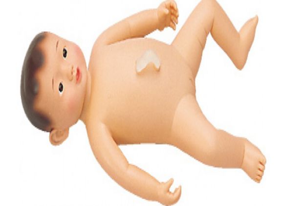https://jayakelana.id.202-10-43-6.cpanel.site/uploads/product/gadis-model-mandi-haruko--286618d7875da98_cover.png