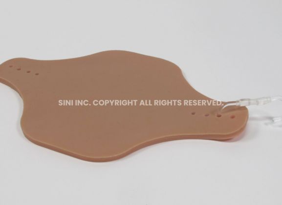 https://jayakelana.id.202-10-43-6.cpanel.site/uploads/product/intradermal-injection-trainer-519593d4b767eb2_cover.jpg