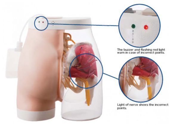 https://jayakelana.id.202-10-43-6.cpanel.site/uploads/product/intramuscular-injection-model-of-17666f9d6a25123_cover.png