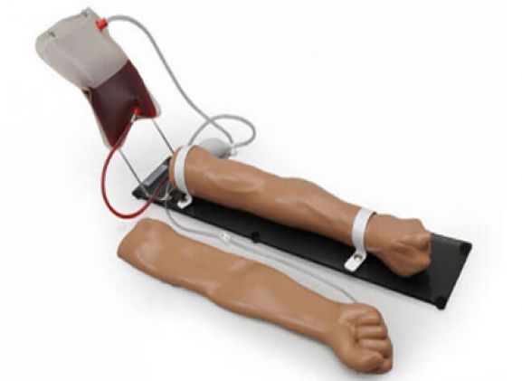 https://jayakelana.id.202-10-43-6.cpanel.site/uploads/product/intravenous-iv-training-arm-26763ca941f9b8d_cover.png