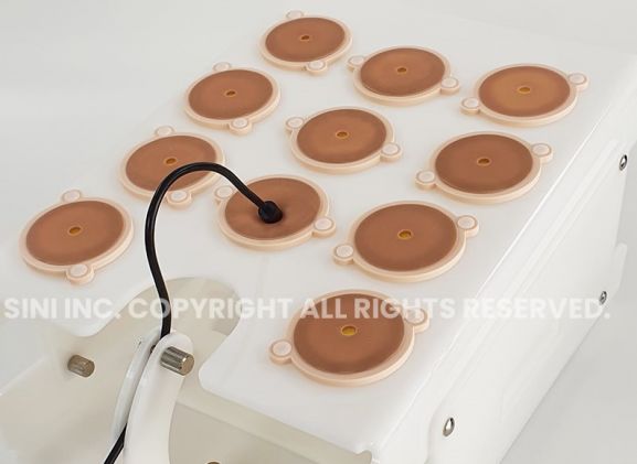 https://jayakelana.id.202-10-43-6.cpanel.site/uploads/product/laparoscopic-portable-trainer-207366ea642d044_cover.jpg