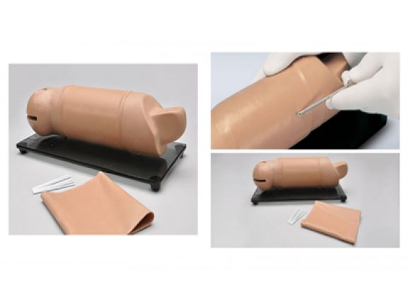 https://jayakelana.id.202-10-43-6.cpanel.site/uploads/product/lengan-pelatihan-implan-reproduksi-66445a54815d81b_cover.png