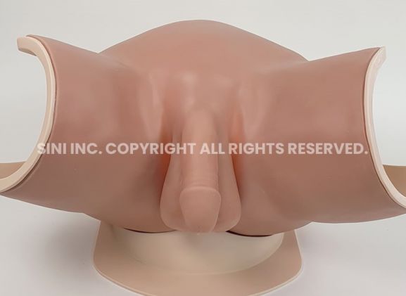 https://jayakelana.id.202-10-43-6.cpanel.site/uploads/product/male-catheterization-trainer-a-353272851403198_cover.jpg