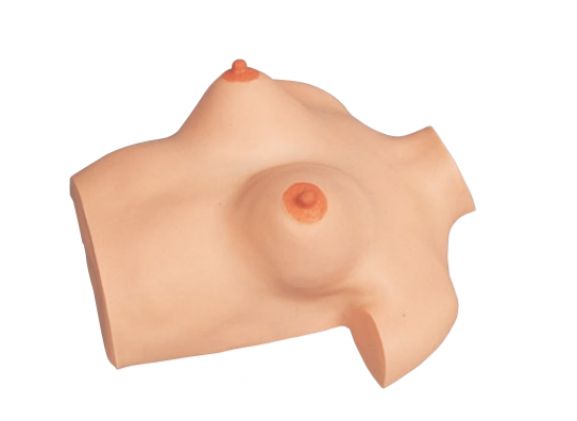 https://jayakelana.id.202-10-43-6.cpanel.site/uploads/product/model-pijat-payudara-simulator-9749442cf66a1db_cover.png