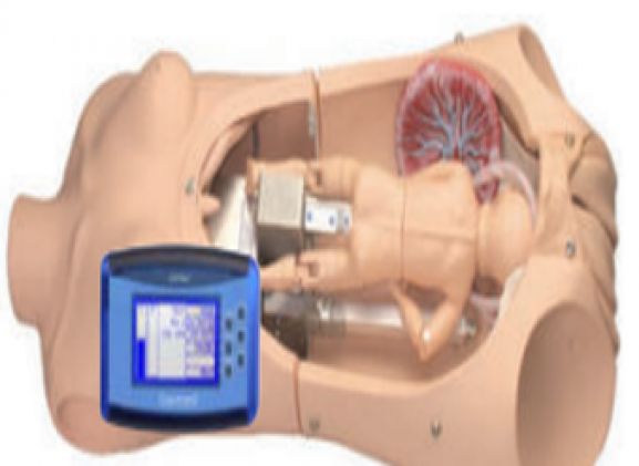 https://jayakelana.id.202-10-43-6.cpanel.site/uploads/product/noelle-birthing-torso-dengan-83138c1b4c9c1d7_cover.png