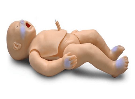 https://jayakelana.id.202-10-43-6.cpanel.site/uploads/product/pedi-blue-newborn--46526182da88257_cover.png